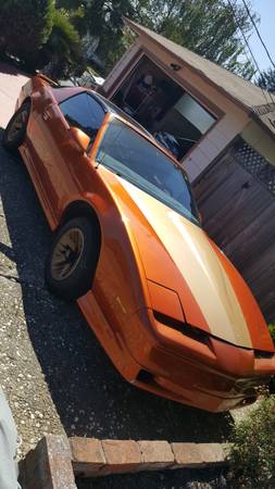 1984 Pontiac Firebird (not running)