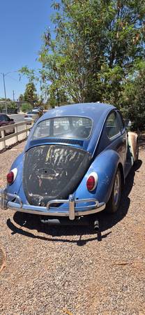 For sale volkswagen bug