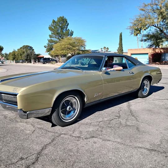 Classic Cars