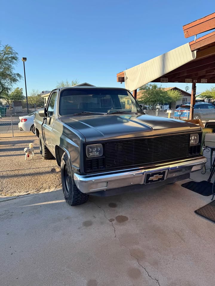 1981 Chevrolet c-10