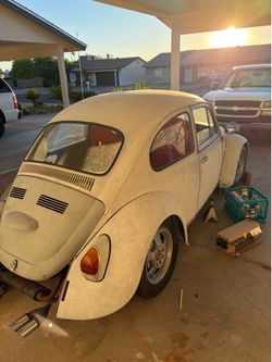 1968 bug